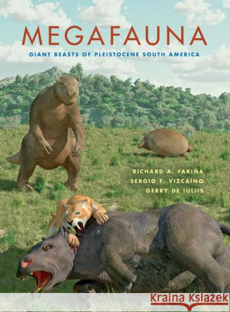Megafauna: Giant Beasts of Pleistocene South America Fariña, Richard A. 9780253002303 Indiana University Press - książka