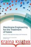 Membrane Engineering for the Treatment of Gases: Volume 1: Gas-Separation Issues with Membranes Elena Tocci Maurizio Fermeglia Young Mo 9781782628743 Royal Society of Chemistry