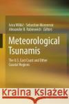 Meteorological Tsunamis: The U.S. East Coast and Other Coastal Regions Ivica Vilibi Sebastian Monserrat Alexander B. Rabinovich 9783319366128 Springer