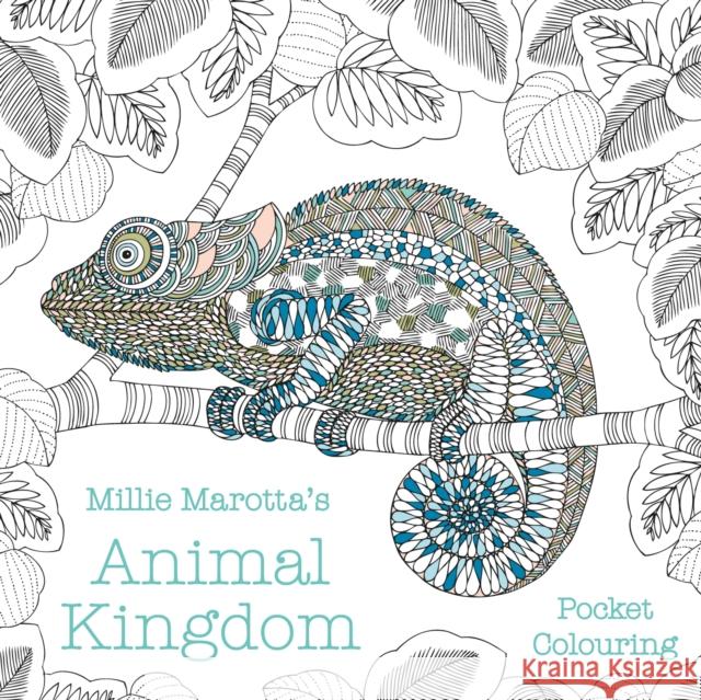 Millie Marotta's Animal Kingdom Pocket Colouring Millie Marotta 9781849945905 Batsford Ltd - książka