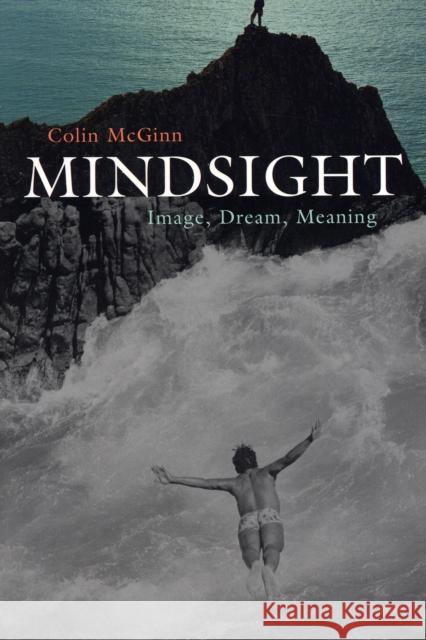 Mindsight: Image, Dream, Meaning McGinn, Colin 9780674022478 Harvard University Press - książka