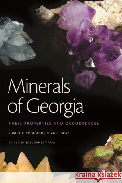 Minerals of Georgia: Their Properties and Occurrences Sarah L. Silkey Robert B. Cook Julian C. Gray 9780820345581 University of Georgia Press - książka