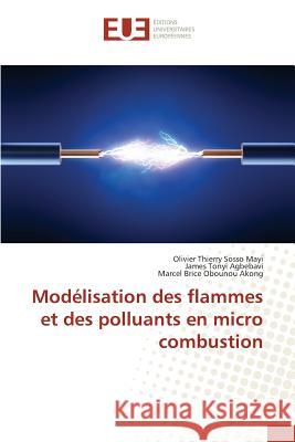 Modélisation Des Flammes Et Des Polluants En Micro Combustion Sans Auteur 9783841671820 Editions Universitaires Europeennes - książka