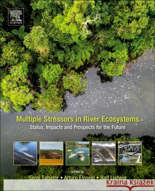 Multiple Stressors in River Ecosystems: Status, Impacts and Prospects for the Future Sergi Sabater Arturo Elosegi Ralf Ludwig 9780128117132 Elsevier - książka