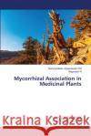 Mycorrhizal Association in Medicinal Plants Saranya Bab Nagarajan N 9786203581775 LAP Lambert Academic Publishing