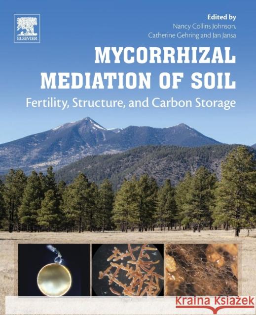 Mycorrhizal Mediation of Soil: Fertility, Structure, and Carbon Storage Johnson, Nancy Collins 9780128043127 Elsevier - książka