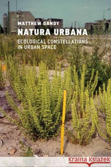 Natura Urbana: Ecological Constellations in Urban Space Matthew Gandy 9780262551335 MIT Press - książka