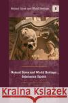 Natural Stone and World Heritage: Salamanca (Spain) Dolores Pereira 9781138499546 CRC Press