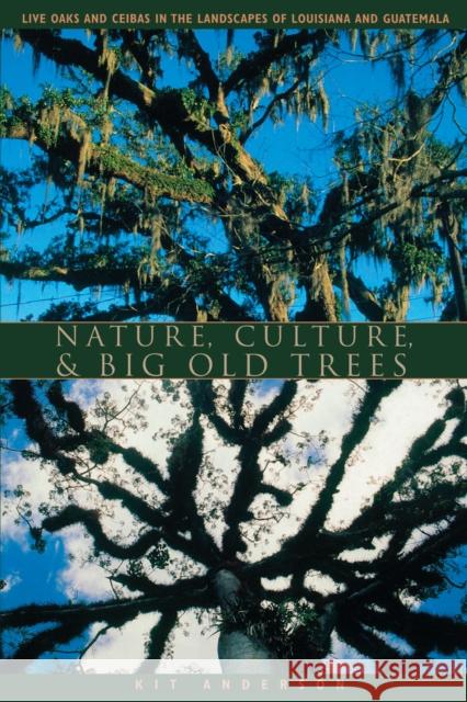 Nature, Culture, and Big Old Trees: Live Oaks and Ceibas in the Landscapes of Louisiana and Guatemala Anderson, Kit 9780292702134 University of Texas Press - książka