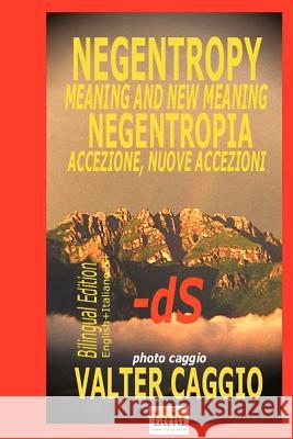 NEGENTROPY Meaning and New Meaning NEGENTROPIA Accezione, Nuove Accezioni Valter, Caggio 9781847532558 Lulu.com - książka