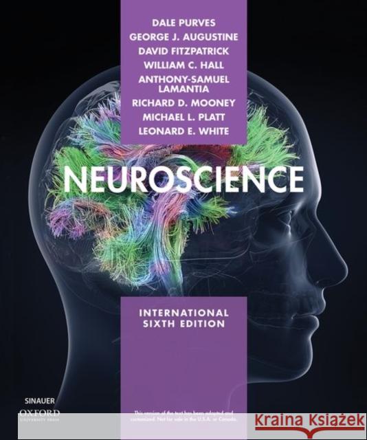 Neuroscience Dale Purves (Duke University) George Augustine (Nanyang Technological  David Fitzpatrick (Max Planck Florida In 9781605358413 Oxford University Press Inc - książka
