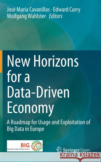 New Horizons for a Data-Driven Economy: A Roadmap for Usage and Exploitation of Big Data in Europe Cavanillas, José María 9783319215686 Springer - książka