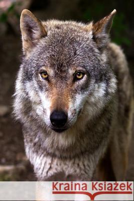 Nice Doggy: The Misunderstood Wolf: Most of Us Grew Up Hearing Stories about the Big, Bad Wolf. But Wolves Are Not Really Big or B Journals, Planners and 9781796405996 Independently Published - książka