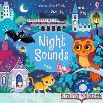 Night Sounds Sam Taplin Federica Iossa 9781805318170 Usborne Books - książka