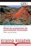Nivel de exposición de yacimientos minerales Gutiérrez, Adolfo Antonio 9786202255257 Editorial Académica Española