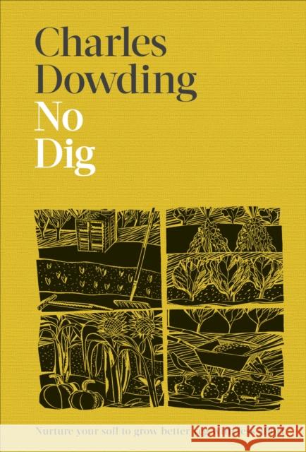 No Dig: Nurture Your Soil to Grow Better Veg with Less Effort Charles Dowding 9780241541814 Dorling Kindersley Ltd - książka