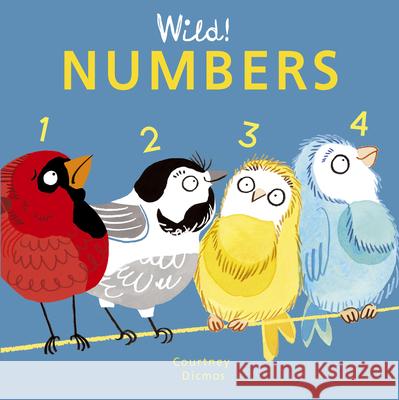 Numbers Courtney Dicmas Courtney Dicmas 9781846439933 Child's Play International - książka