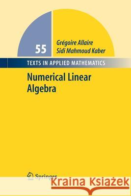Numerical Linear Algebra Gregoire Allaire Sidi Mahmoud Kaber K. Trabelsi 9781489997418 Springer - książka