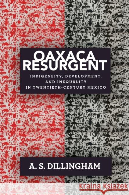 Oaxaca Resurgent: Indigeneity, Development, and Inequality in Twentieth-Century Mexico Dillingham, A. S. 9781503614949 Stanford University Press - książka