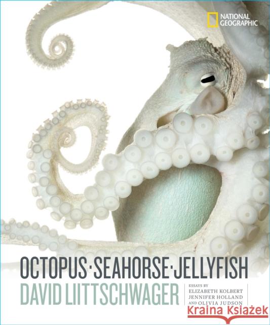 Octopus, Seahorse, Jellyfish David Liittschwager Elizabeth Kolbert Jennifer Holland 9781426221798 National Geographic Society - książka