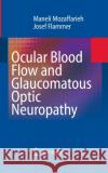Ocular Blood Flow and Glaucomatous Optic Neuropathy Maneli Mozaffarieh Josef Flammer 9783662518564 Springer