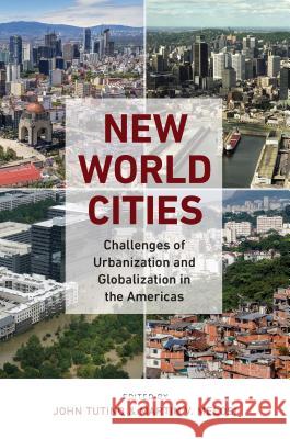 New World Cities: Challenges of Urbanization and Globalization in the Americas