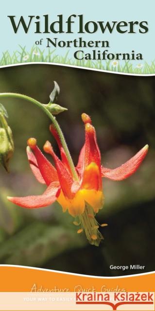 Wildflowers of Northern California: Your Way to Easily Identify Wildflowers
