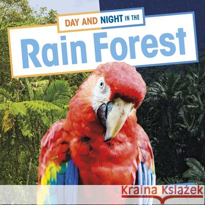 Day and Night in the Rain Forest