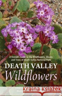 Death Valley Wildflowers: A Visitor's Guide to the Wildflowers, Shrubs and Trees of Death Valley National Park