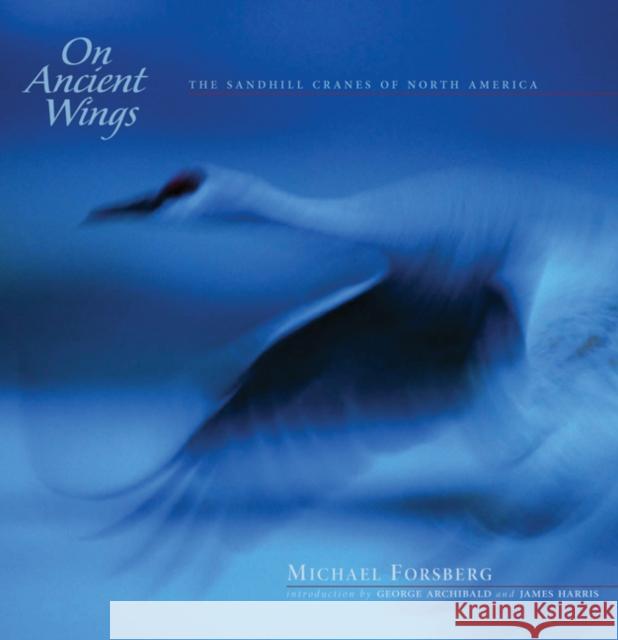 On Ancient Wings: The Sandhill Cranes of North America Michael Forsberg George Archibald James Harris 9780975496404 Michael Forsberg Photography - książka
