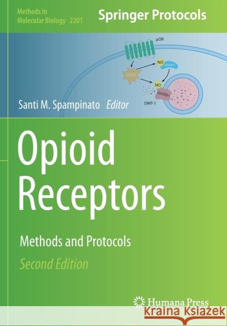 Opioid Receptors: Methods and Protocols Spampinato, Santi M. 9781071608869 Springer US - książka