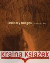 Ordinary Images Stanley K. Abe 9780226000442 University of Chicago Press