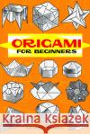 Origami for Beginners Vicente Palacios Palacios 9780486402840 Dover Publications