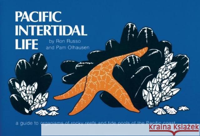 Pacific Intertidal Life: A Guide to Organisms of Rocky Reefs and Tide Pools of the Pacific Coast Ron Russo Pam Olhausen 9780912550329 Wilderness Press - książka