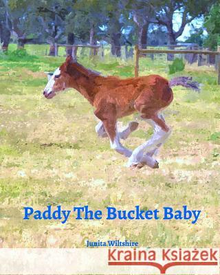 Paddy The Bucket Baby Wiltshire, Junita 9781364989736 Blurb - książka