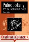 Paleobotany and the Evolution of Plants Wilson N. Stewart Gar W. Rothwell 9780521126083 Cambridge University Press