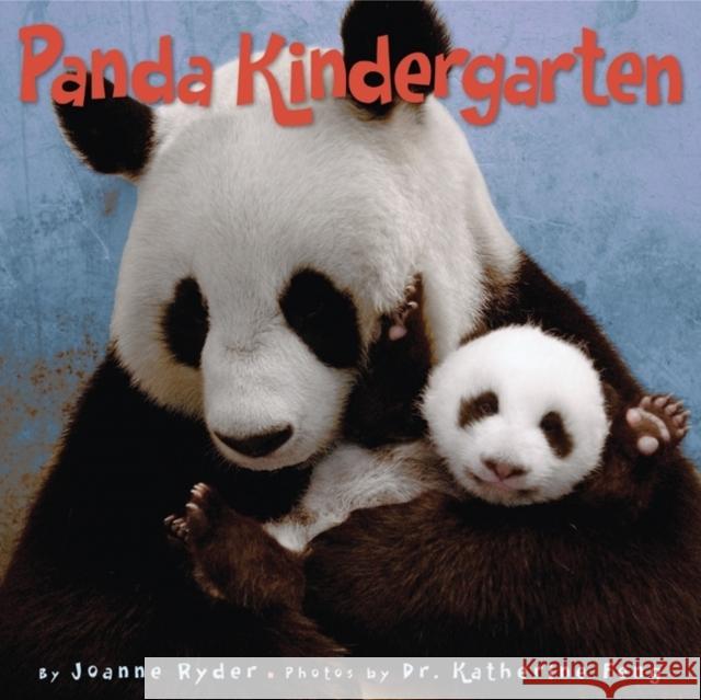 Panda Kindergarten Joanne Ryder Katherine Feng 9780060578503 Collins - książka