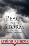 Peace in the Storm: Looking to God When Your Child is an Addict Kathie Flanders 9781632217486 Xulon Press