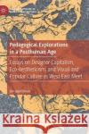 Pedagogical Explorations in a Posthuman Age: Essays on Designer Capitalism, Eco-Aestheticism, and Visual and Popular Culture as West-East Meet Jagodzinski, Jan 9783030486174 Palgrave MacMillan