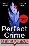 Perfect Crime Helen Fields 9780008275204 HarperCollins Publishers
