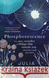 Phosphorescence: On Awe, Wonder & Things That Sustain You When the World Goes Dark Julia Baird 9780008463625 HarperCollins Publishers