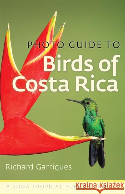Photo Guide to Birds of Costa Rica Richard Garrigues 9781501700255 Zona Tropical Publication from Comstock Publi - książka