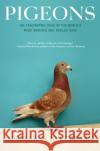Pigeons: The Fascinating Saga of the World's Most Revered and Reviled Bird Andrew D. Blechman 9780802143280 Grove Press