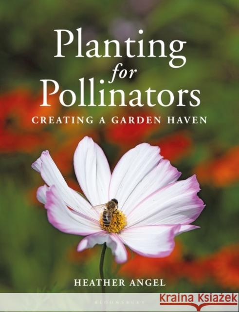 Planting for Pollinators: Creating a Garden Haven Heather Angel 9781399403023 Bloomsbury Publishing PLC - książka