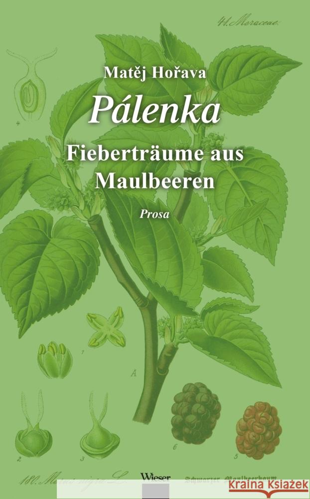 Pálenka Horava, Matej 9783990295854 Wieser - książka