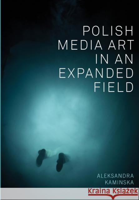 Polish Media Art in an Expanded Field Aleksandra Kaminska 9781783205400 Intellect (UK) - książka