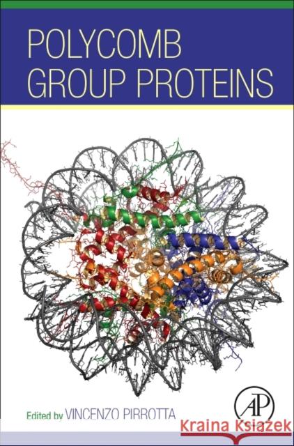 Polycomb Group Proteins Vincenzo Pirrotta 9780128097373 Academic Press - książka