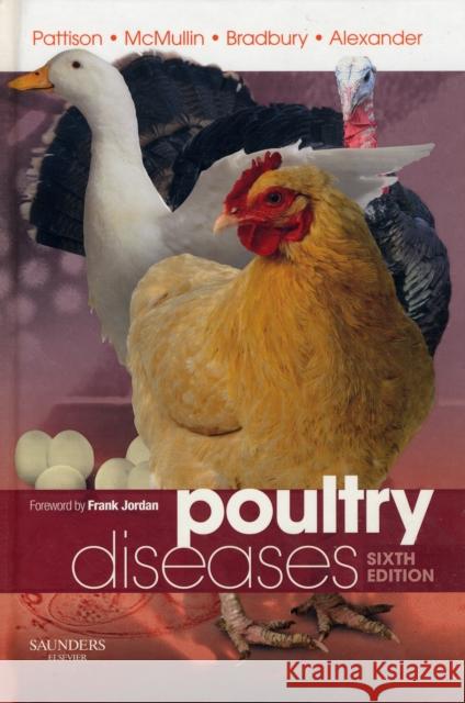 Poultry Diseases Mark Pattison Paul McMullin Janet M. Bradbury 9780702028625 Saunders Book Company - książka