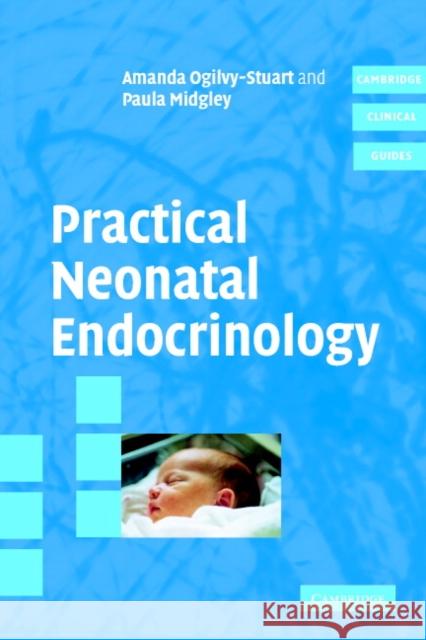 Practical Neonatal Endocrinology Amanda Ogilvy-Stewart Paula Midgley 9780521838498 Cambridge University Press - książka
