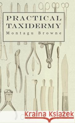 Practical Taxidermy - A Manual of Instruction to the Amateur in Collecting, Preserving, and Setting up Natural History Specimens of All Kinds. To Whic Browne, Montagu 9781905124329 Read Country Books - książka